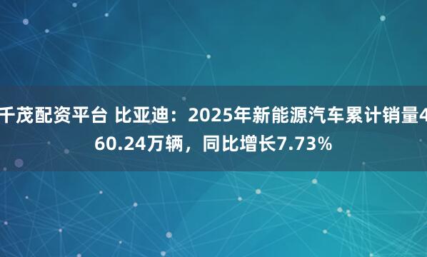 千茂配资平台 比亚迪：2025年新能源汽车累计销量460.24万辆，同比增长7.73%
