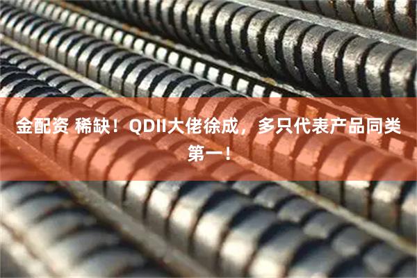 金配资 稀缺！QDII大佬徐成，多只代表产品同类第一！