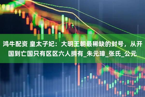 鸿牛配资 皇太子妃：大明王朝最稀缺的封号，从开国到亡国只有区区六人拥有_朱元璋_张氏_公元