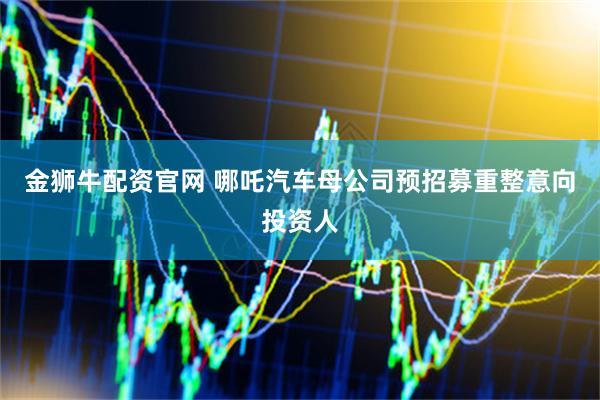 金狮牛配资官网 哪吒汽车母公司预招募重整意向投资人