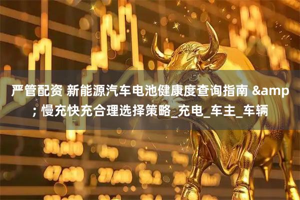 严管配资 新能源汽车电池健康度查询指南 & 慢充快充合理选择策略_充电_车主_车辆