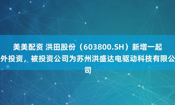 美美配资 洪田股份（603800.SH）新增一起对外投资，被投资公司为苏州洪盛达电驱动科技有限公司
