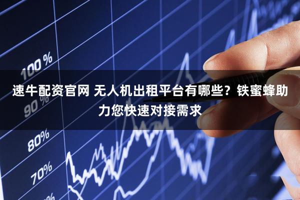 速牛配资官网 无人机出租平台有哪些？铁蜜蜂助力您快速对接需求